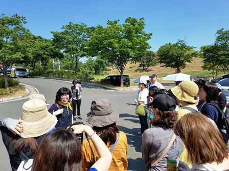 【ブロガーが紹介するとっておきの大邱ツアー③】不老古墳群を見学～あんこも美味しい濃厚な抹茶プリン