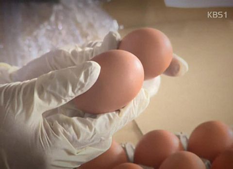 【社会】韓国産の卵からも殺虫剤成分検出
