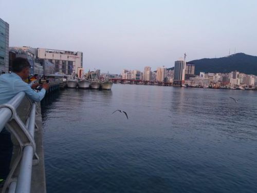 釜山のまちを釜山市民とウォーキング「カルメッキル」　