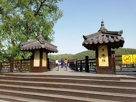 【2017年5月の安東③】韓国で一番長い木造の橋。名前もロマンティックな「月映橋」を渡る