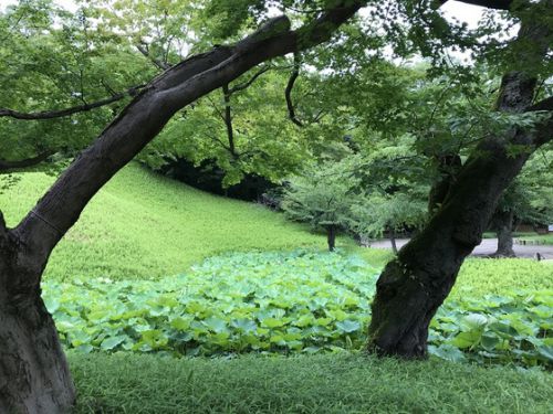 水原の考園公園 粤華苑ウォルファウォンを想い出す