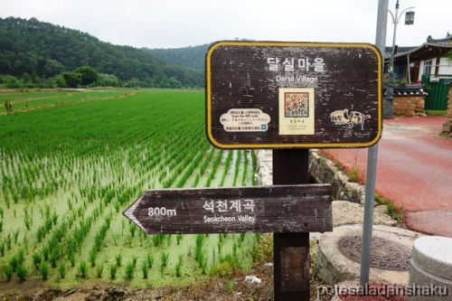 【我らが慶尚北道！⑬】タルシル村散策～韓国の名勝60号「青厳亭(チョンアムジョン）」へ