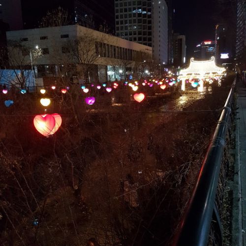 年末　ソウル清渓川で　灯篭祭りを見てきました　