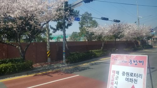 釜山から日帰りで鎮海へ桜を見に行って来ました②☆2019釜山の春