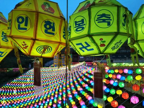 毎年行く。今年も来た。燃灯祝祭で境内に提灯がたくさん飾られた釜山の三光寺②ライトアップ