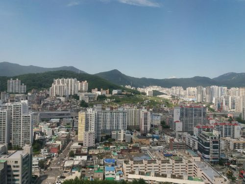 きのこの釜山ライフ 市役所から見える風景