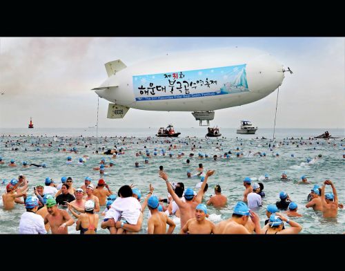 2020ホッキョクグマ祭り　（1月4、5日、釜山で寒中水泳はいかが？)参加者受付中