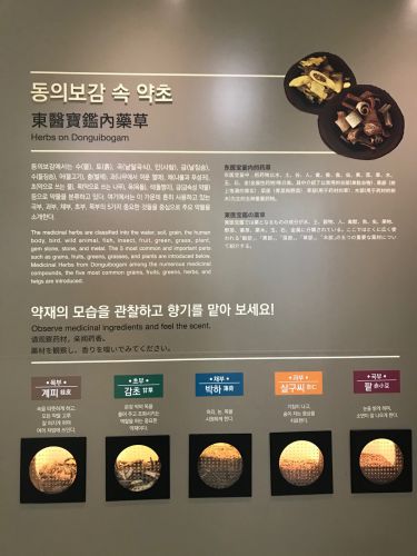 ソウルで韓方を学ぶ「許浚（ホジュン）博物館③」薬草と体験コーナー