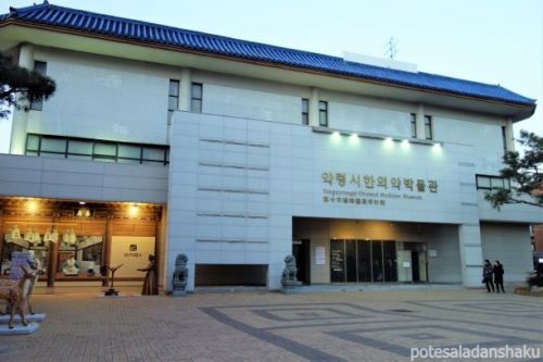 【2020年1月の大邱へ④】「大邱薬令市韓医薬博物館」で薬令市の歴史を学びながら韓方体験も