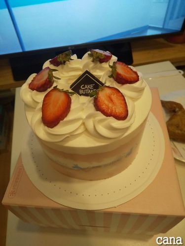 【韓国情報】1万ウォンでホールケーキ！ケーキをお願い！【케이크를 부탁해】